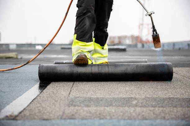 Best Asphalt Shingles Roofing  in Enterprise, UT